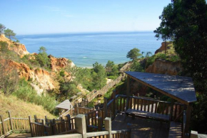 Charming Apartment in Albufeira - 60 m² with pool & view